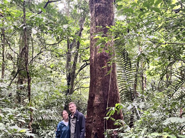 Mai Chau – Cuc Phuong National Park – Ninh Binh Explorer | 3 Days
