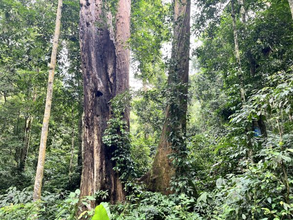 Cuc Phuong national park and Van long nature reserve