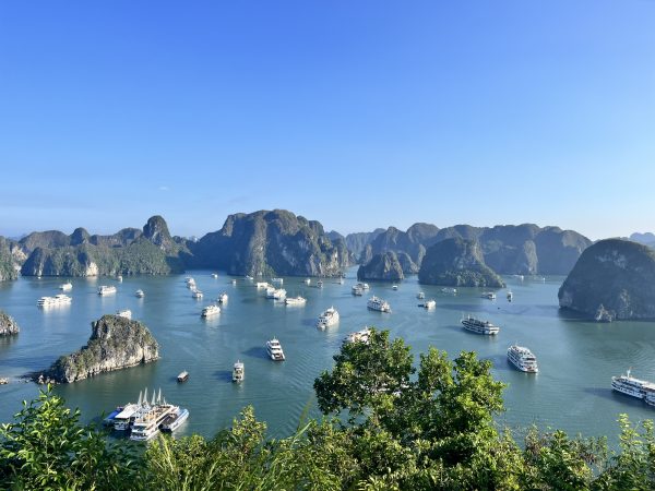 Ha Long Bay 1 day on Quuen Cruise