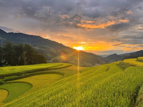 The Northwest Vietnam with unforgettable Mu Cang Chai 5 days