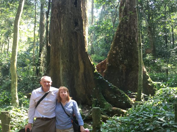 Mai Chau – Cuc Phuong National Park – Ninh Binh Explorer | 3 Days