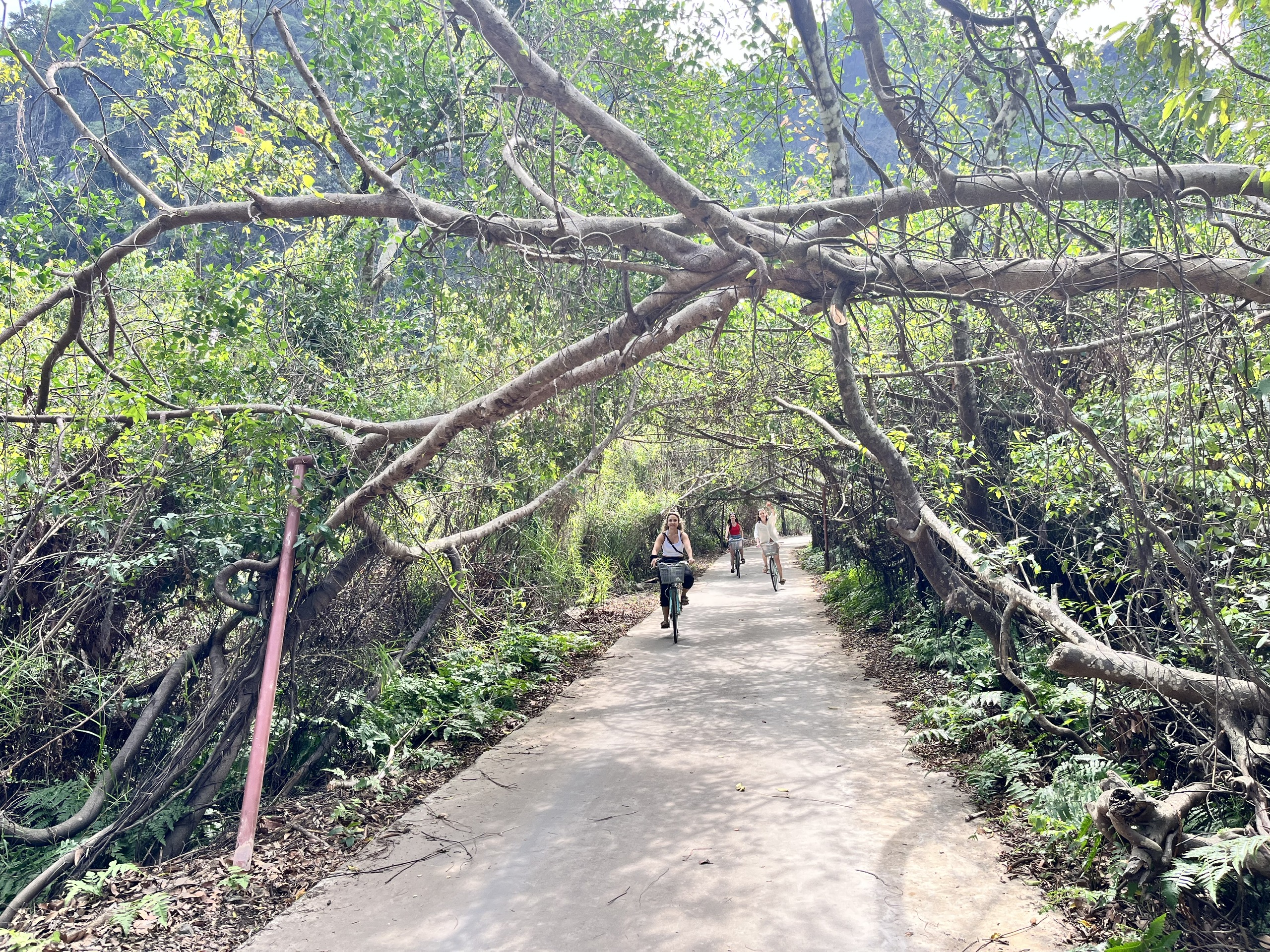 Lan Ha Bay 1 Day Cruise - Hidden Gem (1)