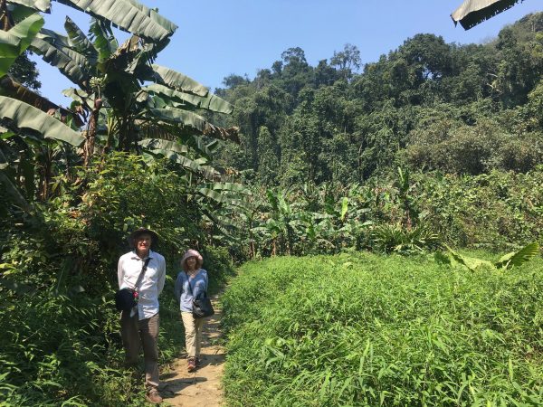 Mai Chau & Cuc Phuong National Park - Tam Coc 3 days