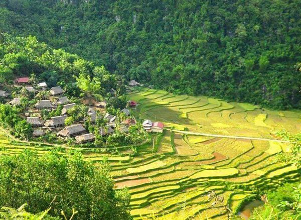 Mai Chau & Pu Luong & Tam Coc 3 days