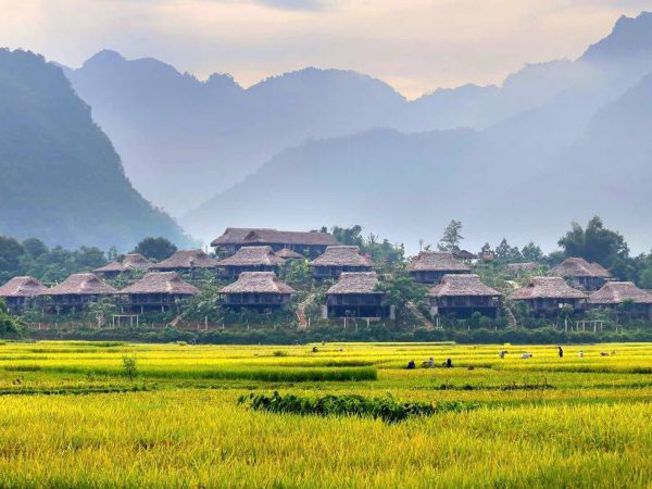 Mai Chau & Ninh Binh 2 days