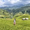 Mu Cang Chai Adventure Trekking 3 days