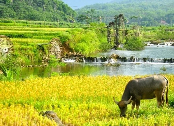 Pu Luong Nature trekking 2 days