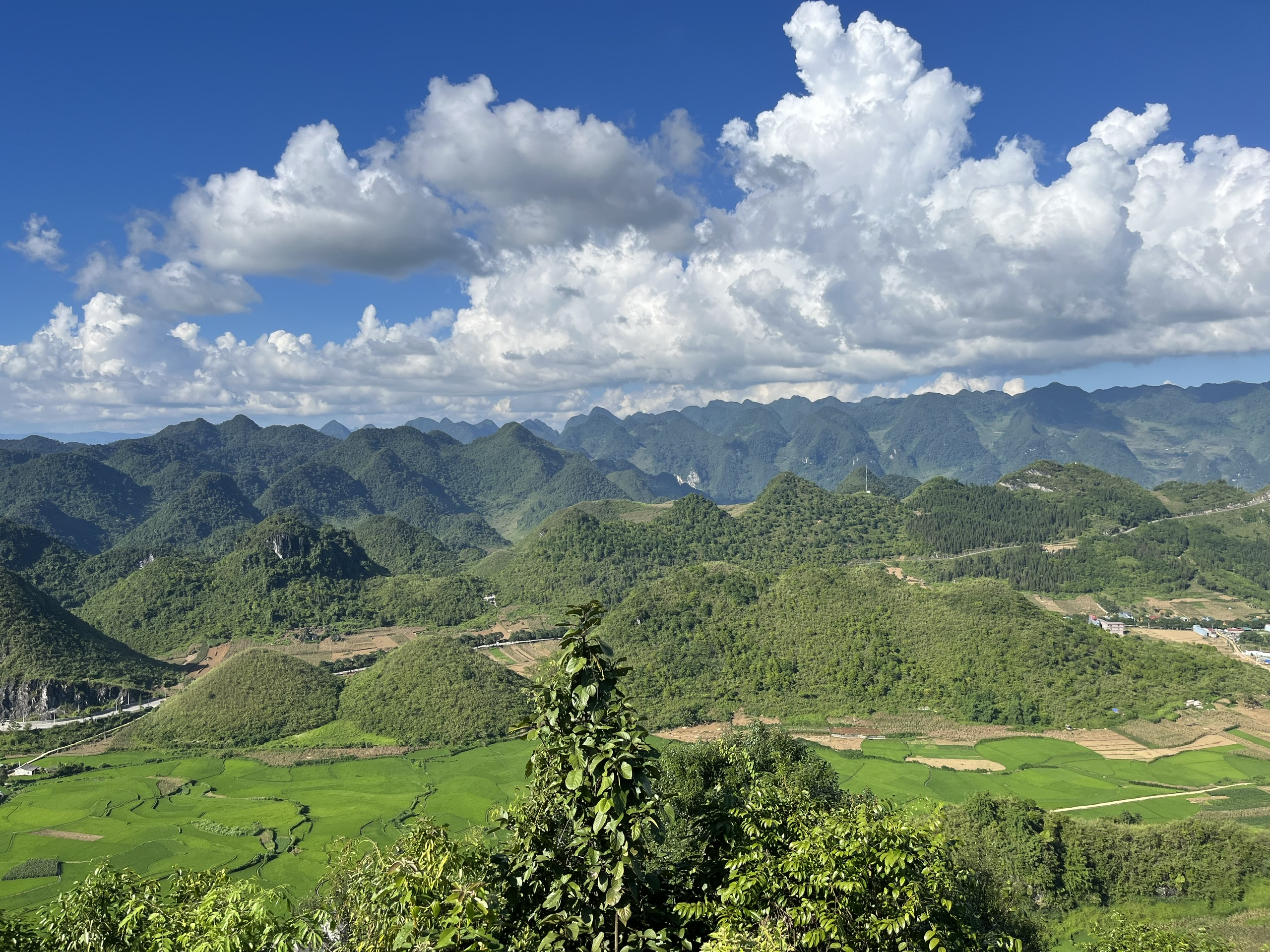 z7150036648407_6d72f1fc95cfd6e108918dfc8415c418