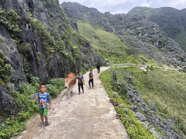 NorthEast Vietnam - Hidden Trails Adventure 5 days