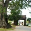 Duong Lam Ancient Village & Ethnic Culture Day Tour