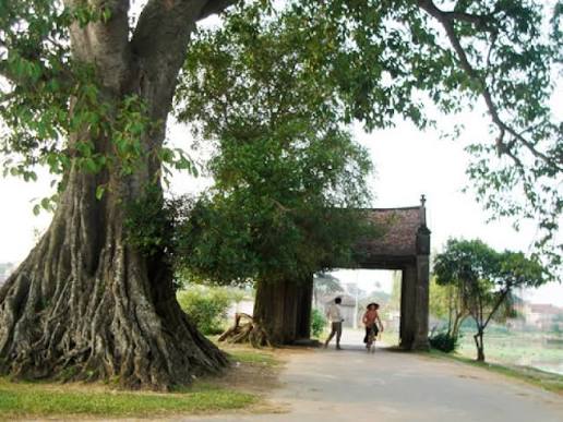 Duong Lam Ancient Village & Ethnic Culture Day Tour